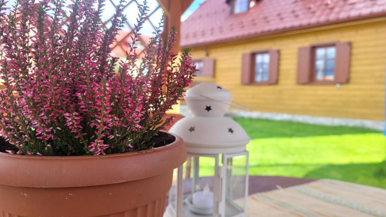 Holidayhouse Chalupa Alzbetka Vazec Exterior photo